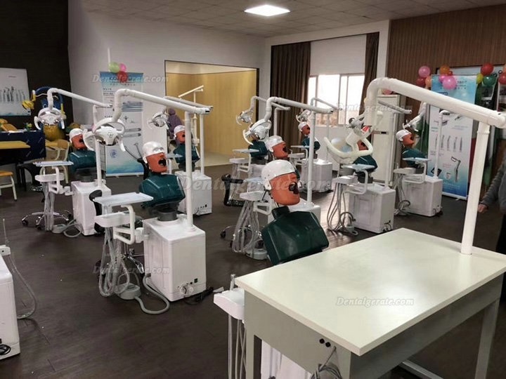 Jingle JG-A2 Phantomkopf Zahnmedizin-Patientensimulator Mit Zahnarzthocker und Zahnlampe